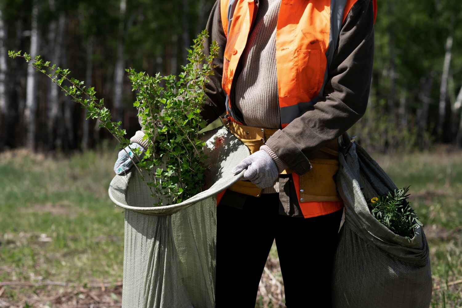 Best Emergency Tree Service  in Caledonia, MN